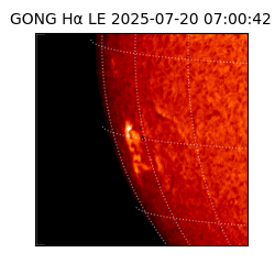 gong - 2025-07-20T07:00:42