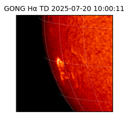gong - 2025-07-20T10:00:11