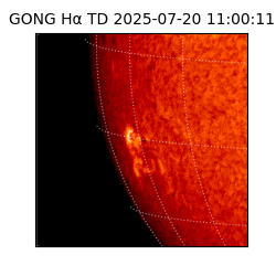gong - 2025-07-20T11:00:11