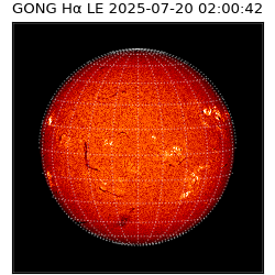 gong - 2025-07-20T02:00:42
