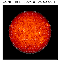gong - 2025-07-20T03:00:42