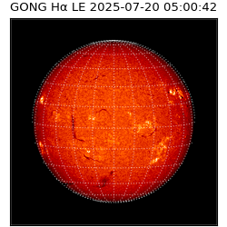 gong - 2025-07-20T05:00:42