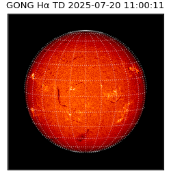 gong - 2025-07-20T11:00:11