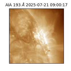 saia - 2025-07-21T09:00:17.463000