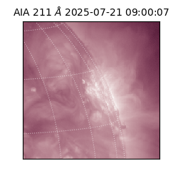 saia - 2025-07-21T09:00:07.461000