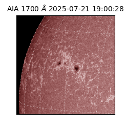 saia - 2025-07-21T19:00:28.721000