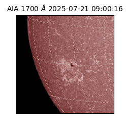saia - 2025-07-21T09:00:16.334000