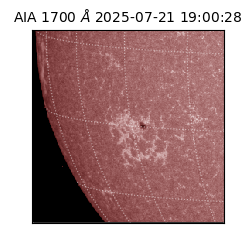 saia - 2025-07-21T19:00:28.721000