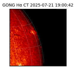 gong - 2025-07-21T19:00:42