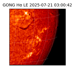 gong - 2025-07-21T03:00:42