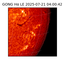 gong - 2025-07-21T04:00:42