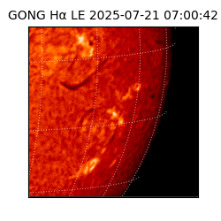 gong - 2025-07-21T07:00:42