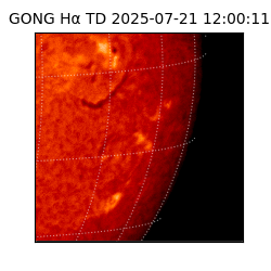 gong - 2025-07-21T12:00:11