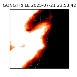 gong - 2025-07-21T23:53:42