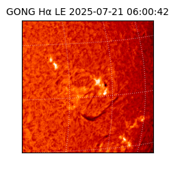 gong - 2025-07-21T06:00:42