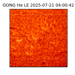 gong - 2025-07-21T04:00:42