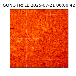 gong - 2025-07-21T06:00:42