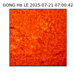 gong - 2025-07-21T07:00:42