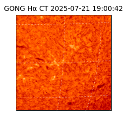 gong - 2025-07-21T19:00:42