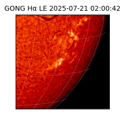 gong - 2025-07-21T02:00:42