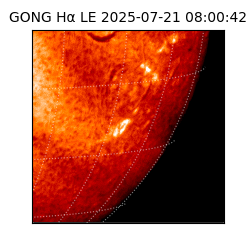 gong - 2025-07-21T08:00:42