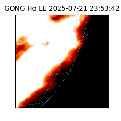 gong - 2025-07-21T23:53:42