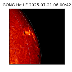 gong - 2025-07-21T06:00:42