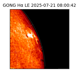 gong - 2025-07-21T08:00:42