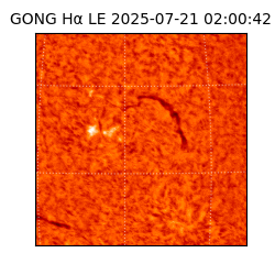 gong - 2025-07-21T02:00:42