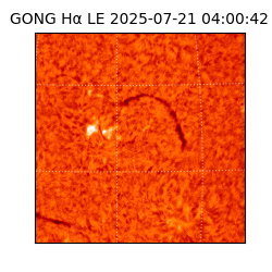 gong - 2025-07-21T04:00:42