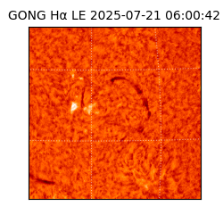 gong - 2025-07-21T06:00:42