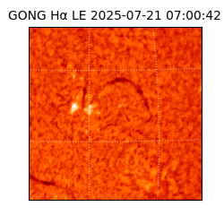 gong - 2025-07-21T07:00:42