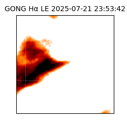 gong - 2025-07-21T23:53:42