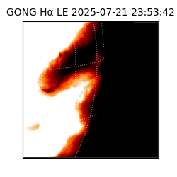 gong - 2025-07-21T23:53:42