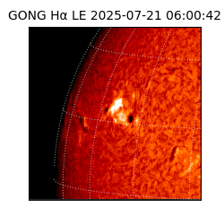 gong - 2025-07-21T06:00:42
