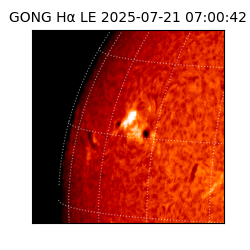 gong - 2025-07-21T07:00:42
