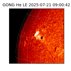 gong - 2025-07-21T09:00:42