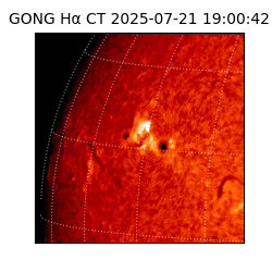 gong - 2025-07-21T19:00:42
