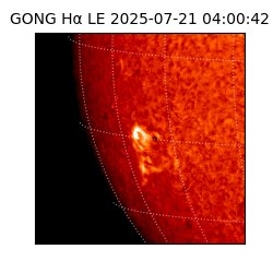 gong - 2025-07-21T04:00:42