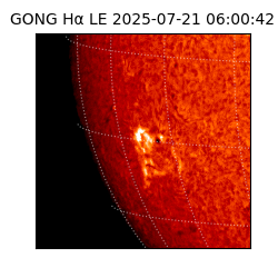 gong - 2025-07-21T06:00:42