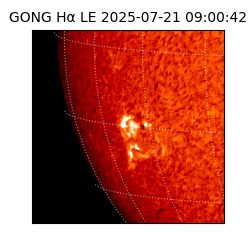 gong - 2025-07-21T09:00:42