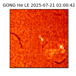 gong - 2025-07-21T02:00:42