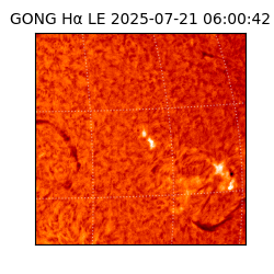 gong - 2025-07-21T06:00:42