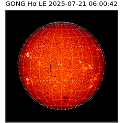 gong - 2025-07-21T06:00:42
