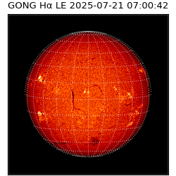 gong - 2025-07-21T07:00:42