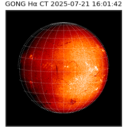 gong - 2025-07-21T16:01:42