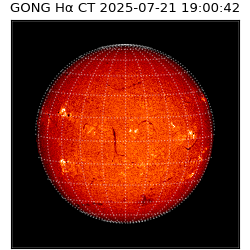 gong - 2025-07-21T19:00:42