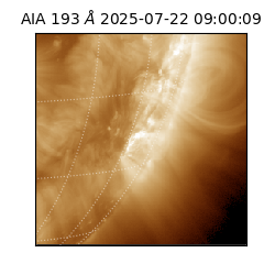 saia - 2025-07-22T09:00:09.488000