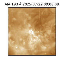 saia - 2025-07-22T09:00:09.488000