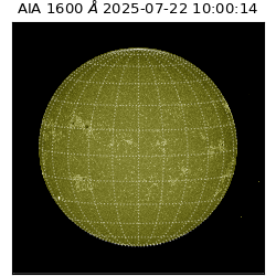 saia - 2025-07-22T10:00:14.125000